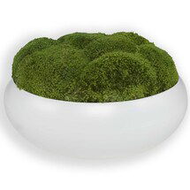 Online Designer Business/Office Grecia Ceramic Bowl