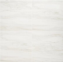 Online Designer Other DreamStone Dolomite Snow 24x24 Matte Porcelain Tile
