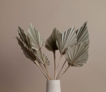 Online Designer Bedroom Natural Palm Spears - 5 Stems In A Bunch