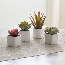 Online Designer Bedroom Faux Mini Potted Succulents, Set of 4