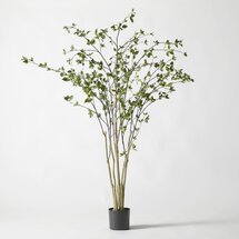 Online Designer Combined Living/Dining Faux Minimalist Citrus Potted Plant 