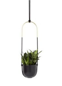 Online Designer Hallway/Entry Bolo Hanging Planter