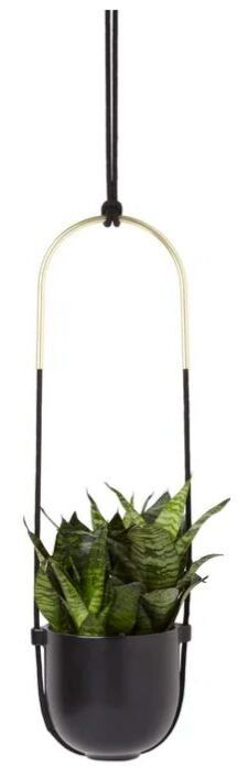 Online Designer Combined Living/Dining Bolo Stoneware Ceramic Hanging Planter