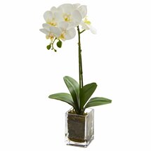 Online Designer Bedroom Orchid Floral Arrangement in Vase