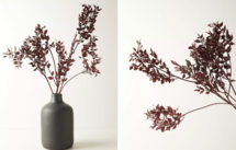 Online Designer Combined Living/Dining Centerpiece Brench Op