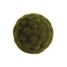 Online Designer Hallway/Entry Moss Sphere