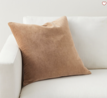 Online Designer Other Everywhere Velvet Pillow