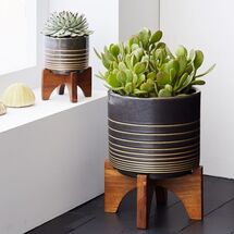 Online Designer Nursery Mid-Century Turned Leg Tabletop Planters - Black/Gold