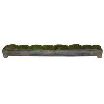 Online Designer Living Room Preserved Moss Centerpiece  