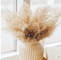 Online Designer Business/Office 17-inch Wild Fluffy Pampas Grass(35 Pcs,brown)