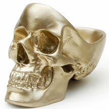 Online Designer Living Room Skull Tidy Bust
