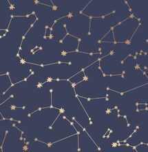 Online Designer Nursery Constellations Wallpaper - Navy