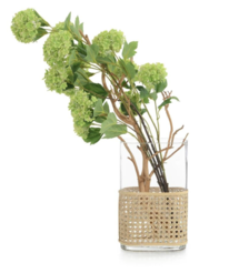 Online Designer Bedroom John Richard Wicker and Manzanita Plant