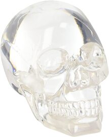 Online Designer Living Room Clear Translucent Skull Collectible Figurine