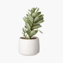 Online Designer Living Room Potted Faux Succulent 14''