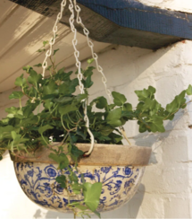 Online Designer Bedroom Ranburne Ceramic Hanging Planter