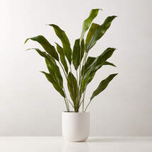 Online Designer Living Room Faux Potted Iron Leaf Plant