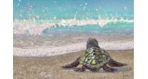 Online Designer Bedroom Baby Sea Turtle Wall Art