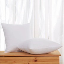 Online Designer Bedroom Square Pillow Insert (Set of 2)
