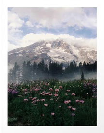 Online Designer Combined Living/Dining Mt Rainier Art Print
