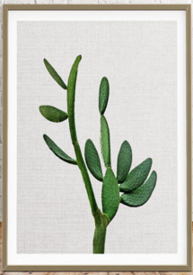 Online Designer Living Room Cactus Photo, Mexican Print, 