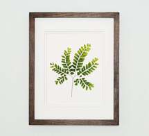 Online Designer Living Room Botanical Art - Print ONLY