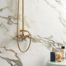 Online Designer Bathroom DreamStone Calacatta Rustico 24x48 Polished Porcelain Tile