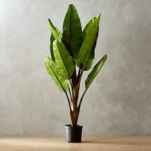 Online Designer Business/Office 72" Faux Banana Tree