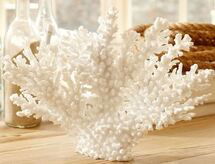 Online Designer Combined Living/Dining SIDEBOARD DECOR 2