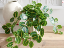 Online Designer Home/Small Office Faux Wandering Prayer Houseplant