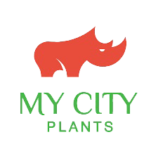 Decorilla Marca My City Plants