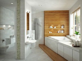 Sleek Modern Bathroom Interior Design with Wooden Accents