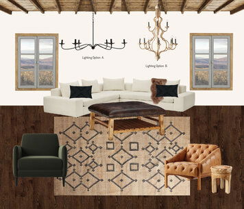 Online design Traditional Living Room by Emily P. thumbnail