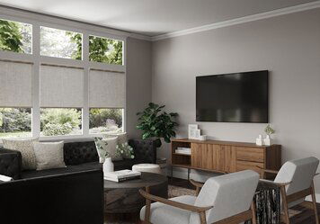 Online design Transitional Living Room by Erin R. thumbnail