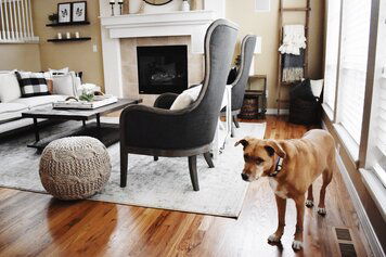 Online design Transitional Living Room by Alyssa H. thumbnail