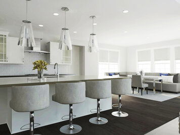 Online design Transitional Combined Living/Dining by Selma A. thumbnail