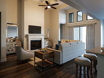 Online design Transitional Living Room by Lacie H. thumbnail