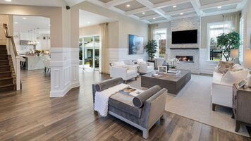 Online design Traditional Living Room by Alexa H. thumbnail