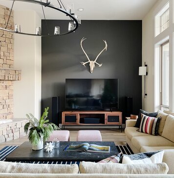 Online design Modern Living Room by Lauren K. thumbnail