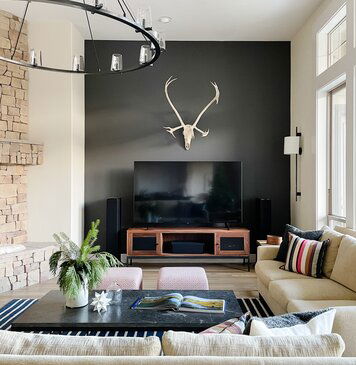 Online design Modern Living Room by Lauren K. thumbnail