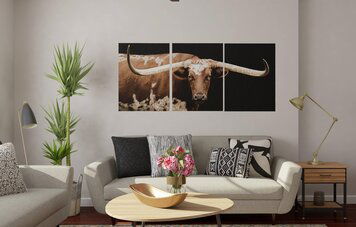 Online design Eclectic Living Room by Jacky G. thumbnail