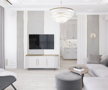 Online design Transitional Living Room by Talyana V. thumbnail