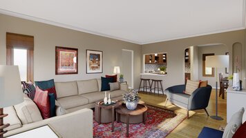 Online design Transitional Living Room by Selma A. thumbnail