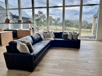 Online design Transitional Living Room by Alana M. thumbnail