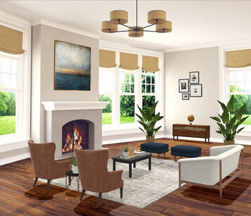 Online design Transitional Living Room by Liz C. thumbnail