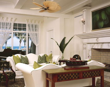 Online design Transitional Living Room by Susan C. thumbnail