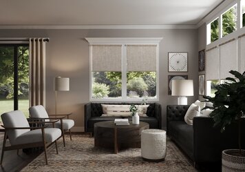 Online design Transitional Living Room by Erin R. thumbnail