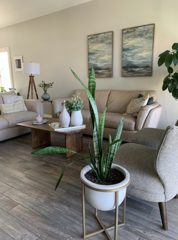 Online design Transitional Living Room by Jazmine U. thumbnail