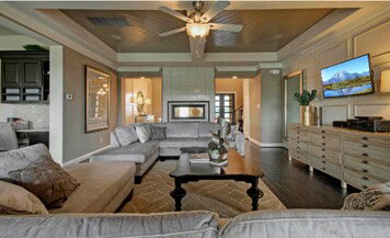 Online design Transitional Living Room by Shelby K. thumbnail