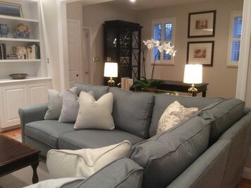 Online design Transitional Living Room by Gretchen F. thumbnail